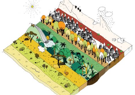 Quest magazine illustration of all different landscapes of the world