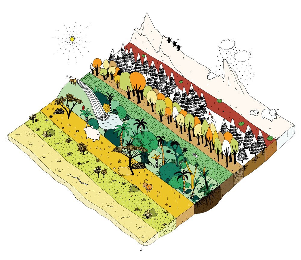 Quest magazine illustration of all different landscapes of the world